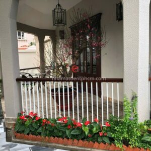 Bên ngoài biệt thự